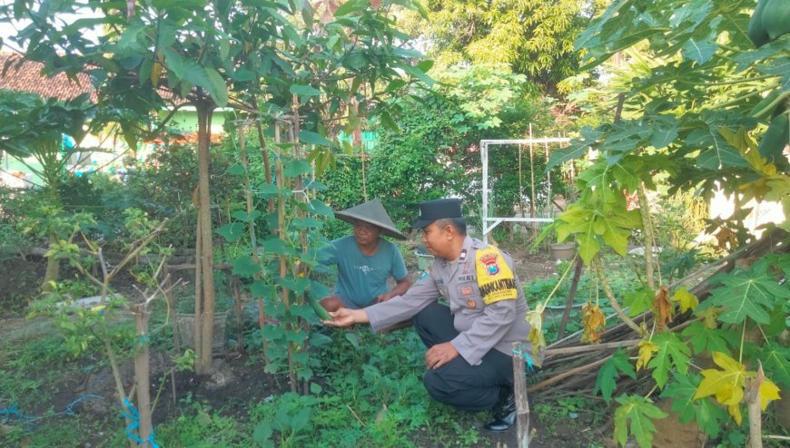 Dukung Ketahanan Pangan Nasional, Bhabinkamtibmas Bangunsari Ajak Masyarakat Manfaatkan Pekarangan Rumah